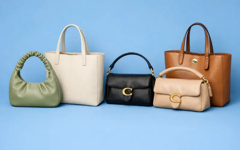 affordable luxury bags jw pei and coach